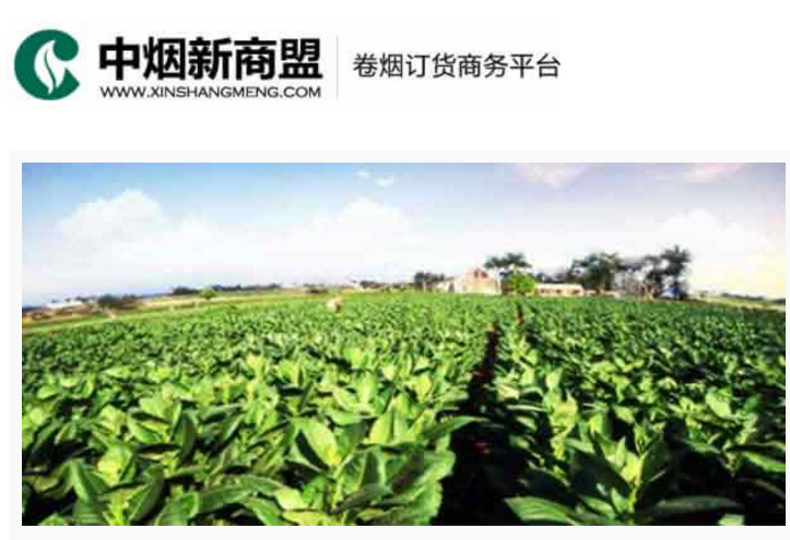 中烟新商盟卷烟订货商务平台-助赢计划网站